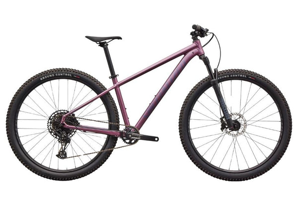 2026 Specialized Rockhopper Expert 29-The Cycling Fix