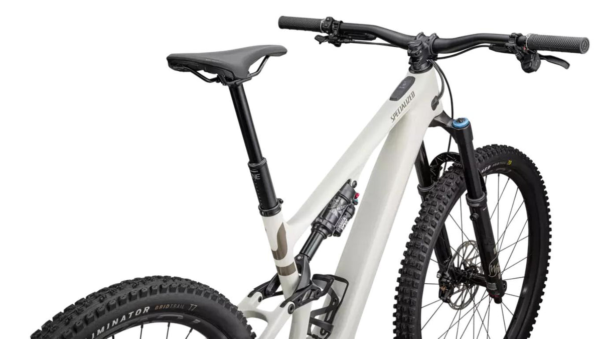 Specialized Turbo Levo SL Expert Carbon-The Cycling Fix