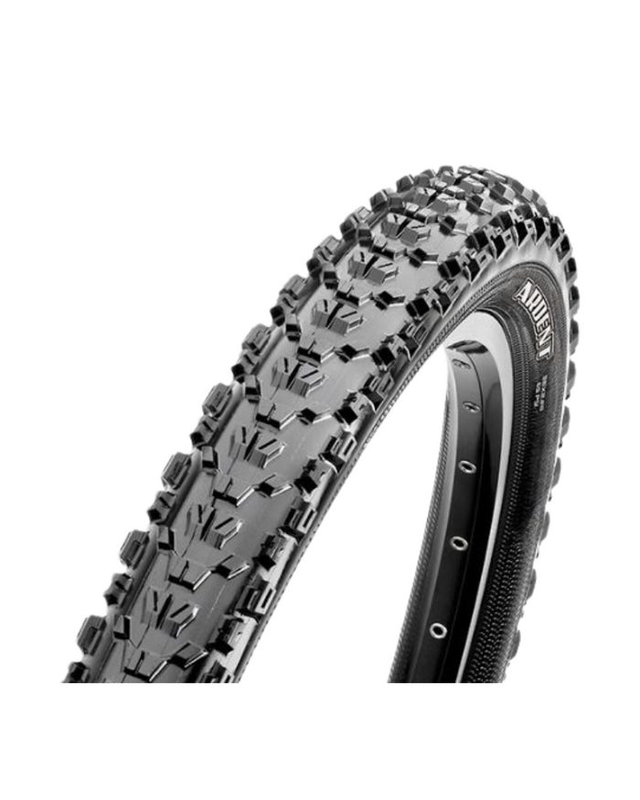 Maxxis Ardent 60tpi Exo Tubeless Ready-The Cycling Fix
