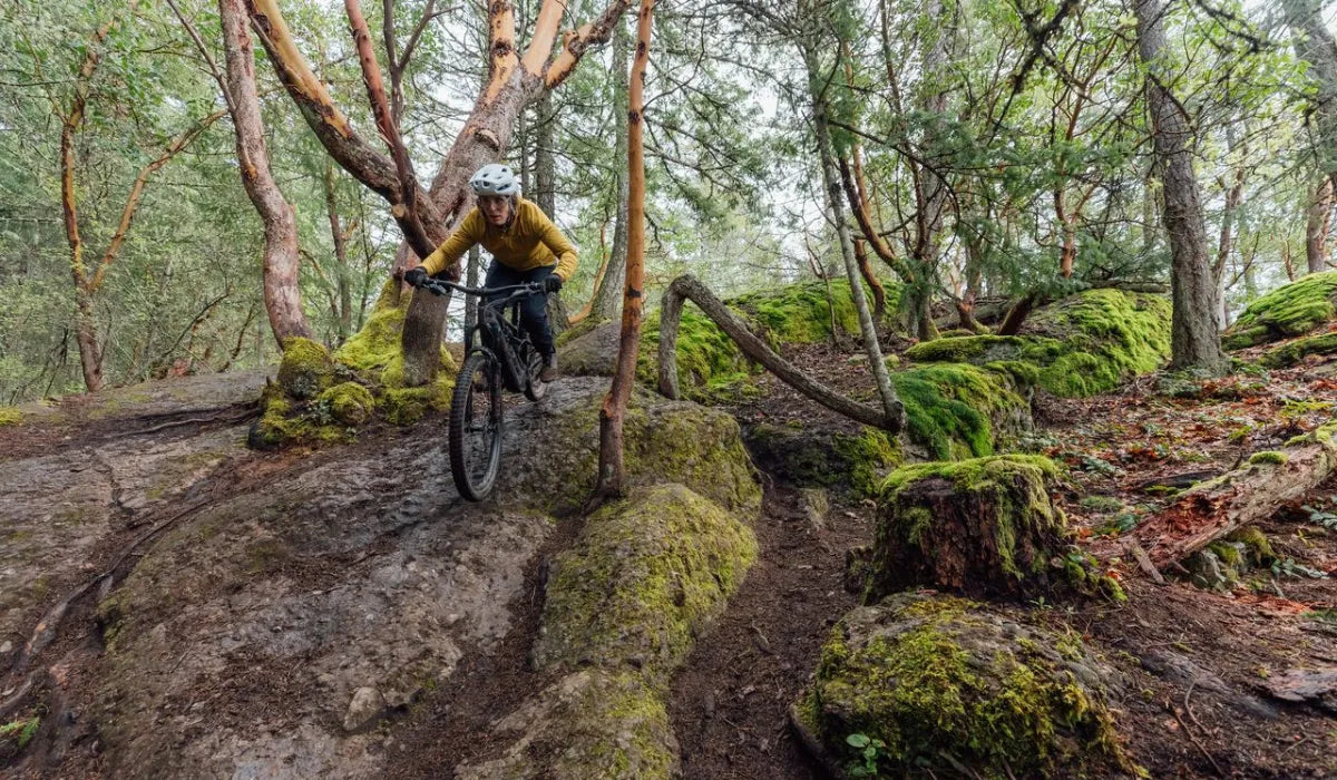 Specialized Turbo Levo SL
