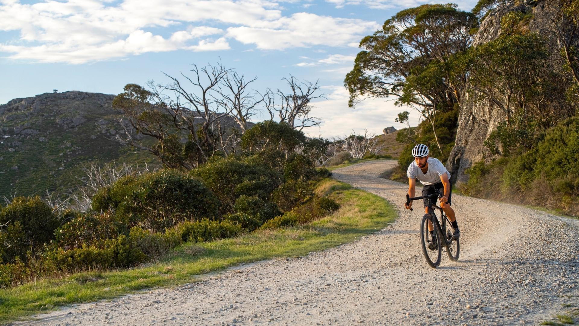 Specialized Diverge-The Cycling Fix