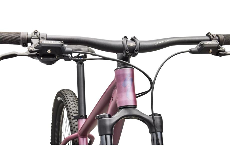 2026 Specialized Rockhopper Expert 29-The Cycling Fix
