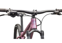 2026 Specialized Rockhopper Expert 29-The Cycling Fix
