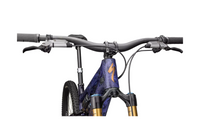 2025 S-Works Turbo Levo SL-The Cycling Fix