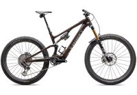 2025 S-Works Turbo Levo SL-The Cycling Fix