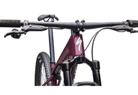 2026 Specialized Epic World Cup Expert-The Cycling Fix