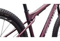 2026 Specialized Epic World Cup Expert-The Cycling Fix
