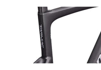 S-Works Tarmac SL9 Frameset - RTP Raw Carbon and Amethyst Frost