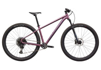 2026 Specialized Rockhopper Expert 29-The Cycling Fix