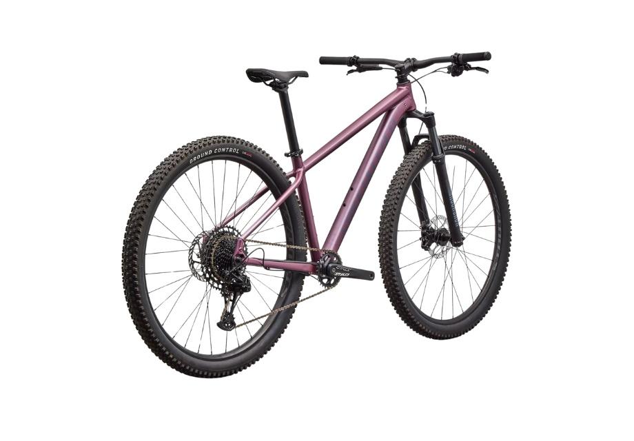 2026 Specialized Rockhopper Expert 29-The Cycling Fix