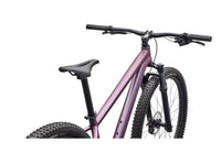 2026 Specialized Rockhopper Expert 29-The Cycling Fix