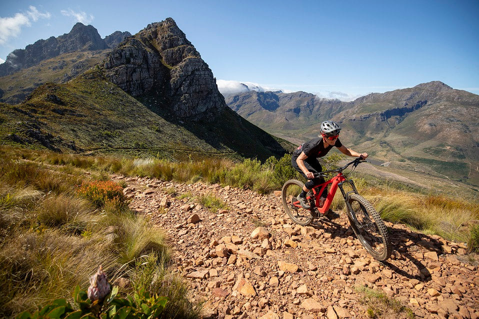 Downhill bikes shop online