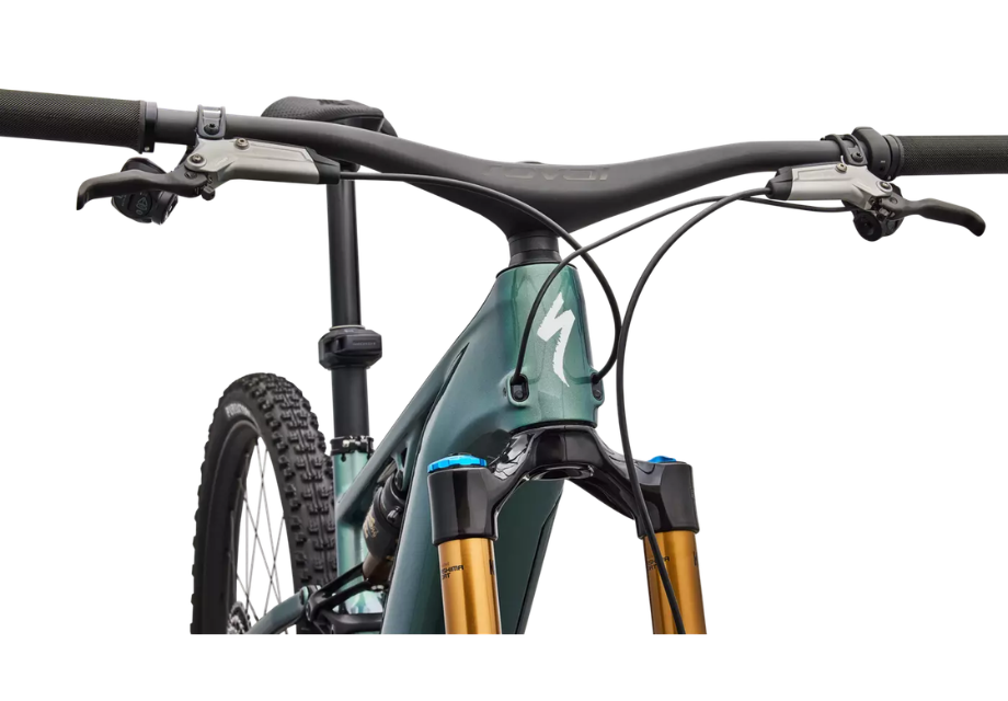 S-Works Turbo Levo R-The Cycling Fix