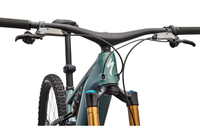 S-Works Turbo Levo R-The Cycling Fix
