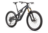 2024 S-Works Stumpjumper EVO T-Type