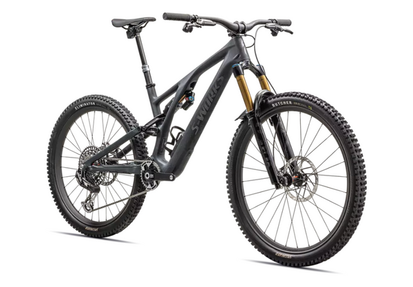 2024 S-Works Stumpjumper EVO T-Type