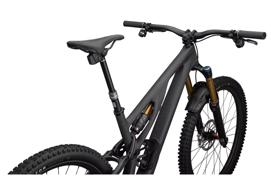 2024 S-Works Stumpjumper EVO T-Type