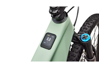 Specialized Turbo Levo R Expert-The Cycling Fix