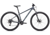 Specialized Rockhopper 29