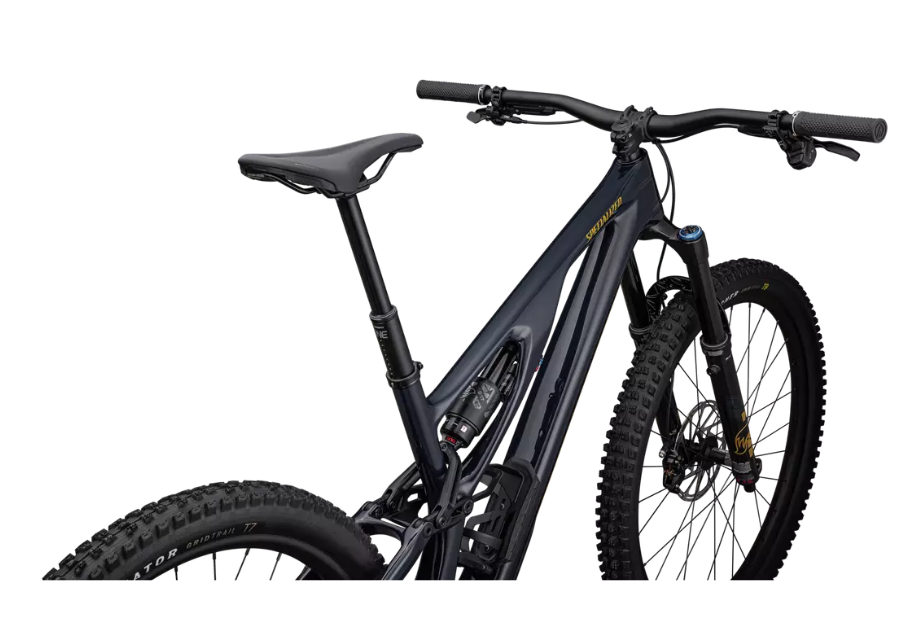 2024 Stumpjumper EVO Expert T-Type
