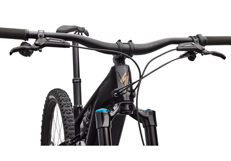 Specialized Turbo Levo R Expert-The Cycling Fix