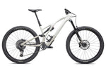 2023 Specialized Stumpjumper EVO Expert